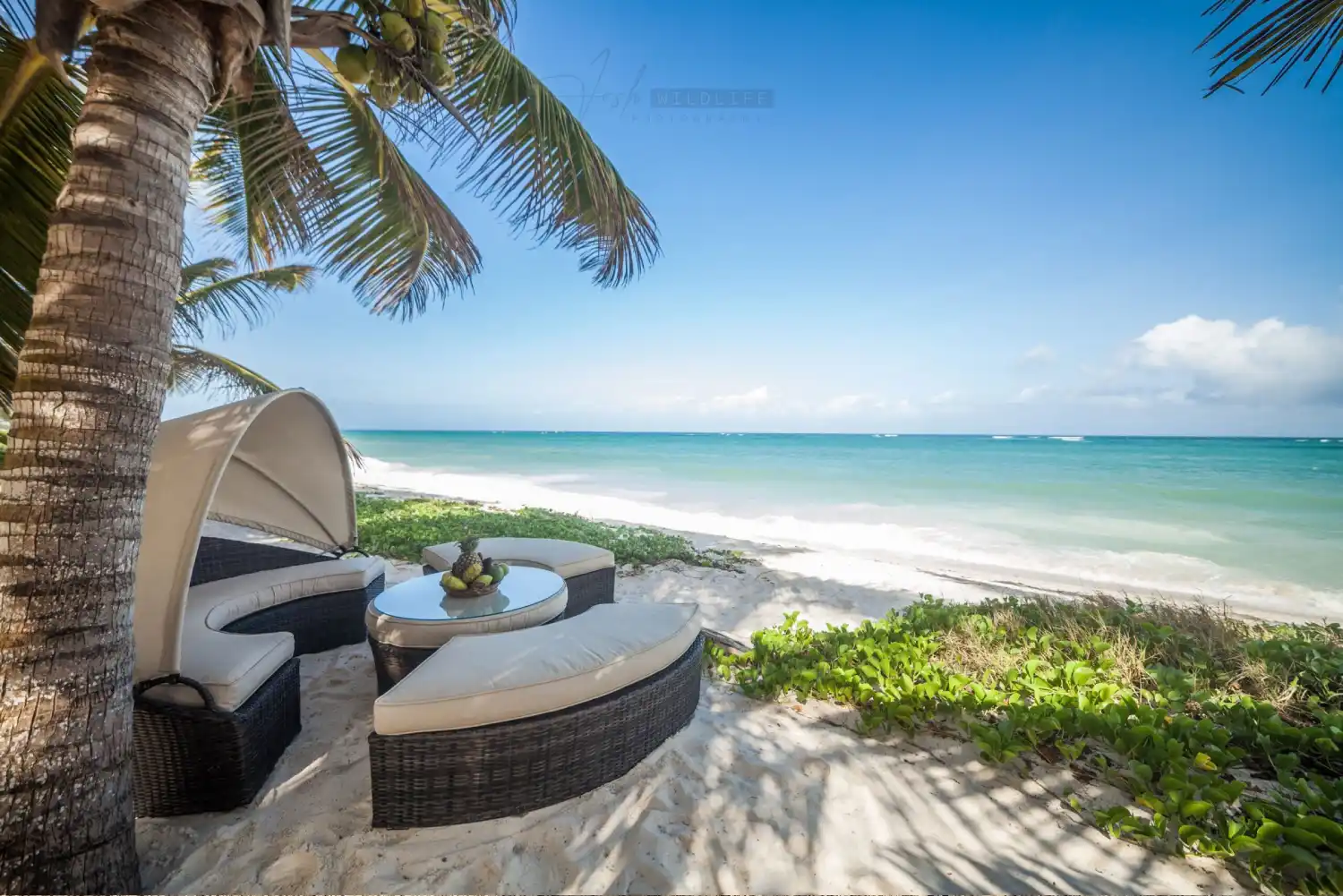 Complete Zanzibar Island Holiday