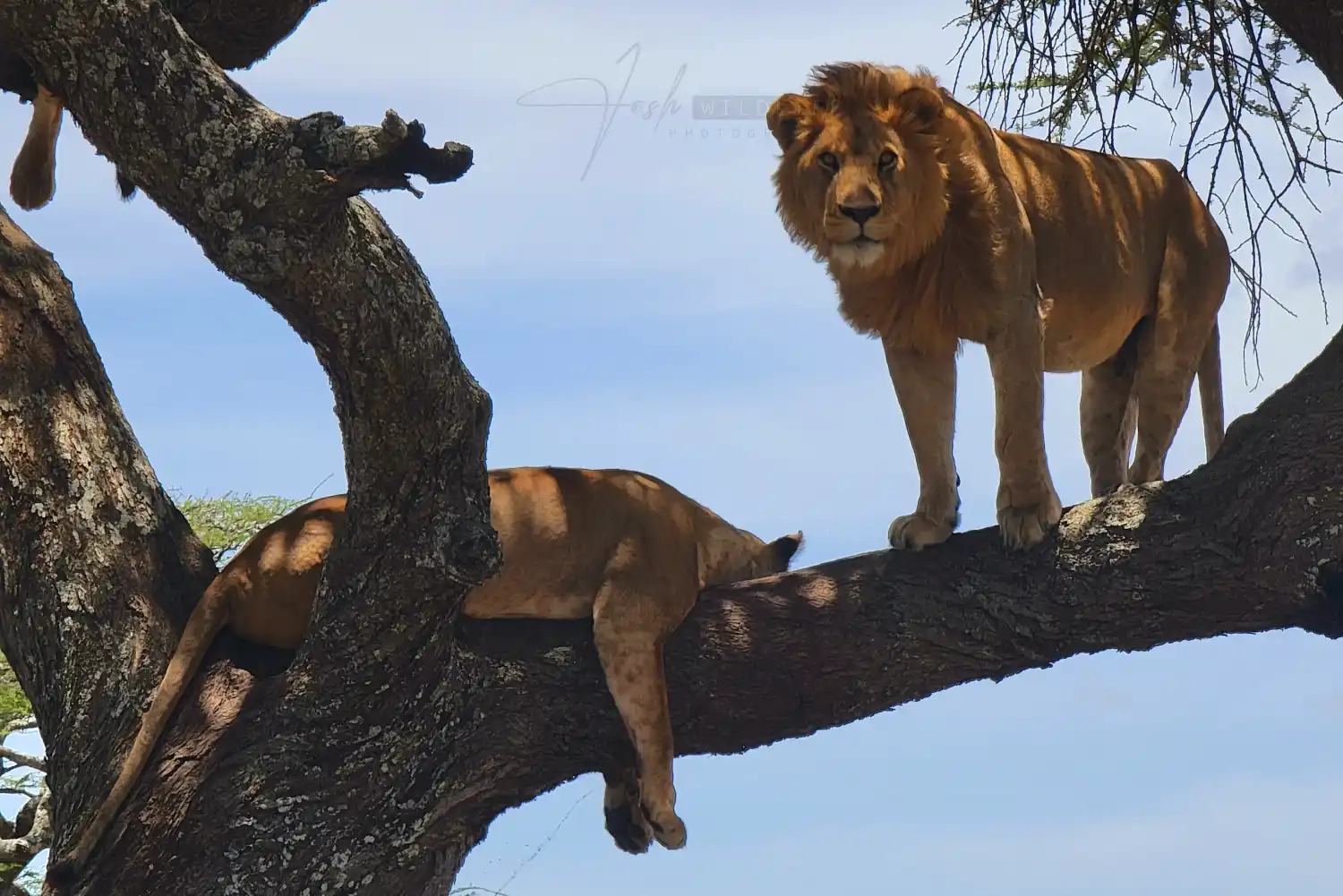 QUEEN ELIZABETH NATIONAL PARK