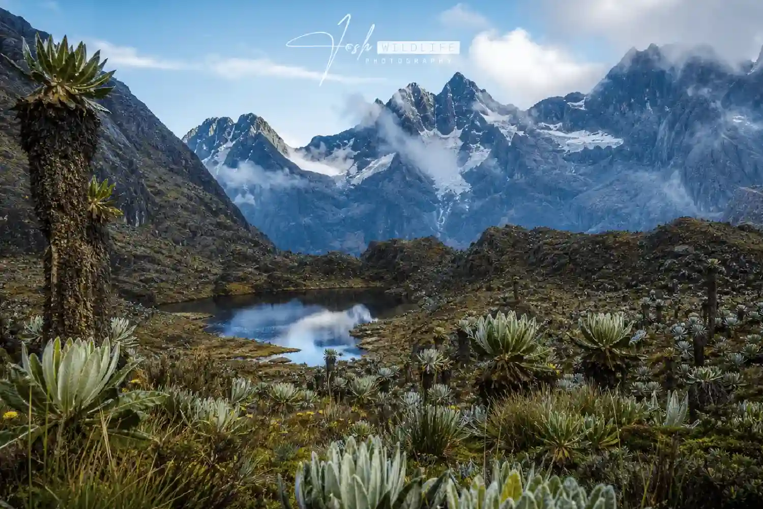 RWANZORI MOUNTAIN NATIONAL PARK