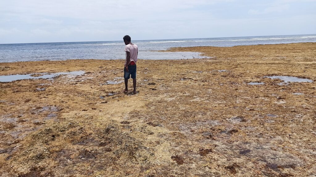Reef walk at low tide on Watamu Beach in Kenya